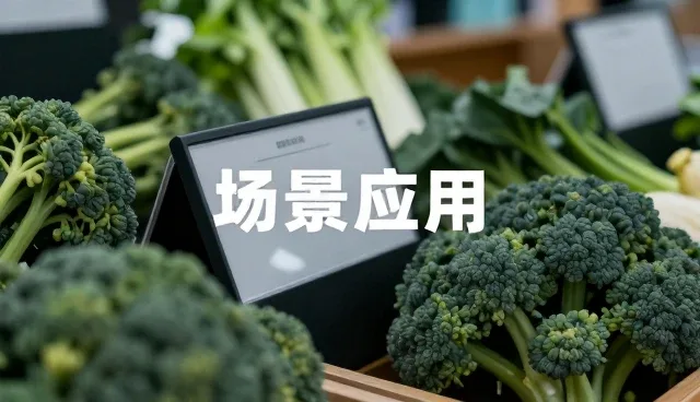 如何高效开展基地合作共建与种苗供应维护